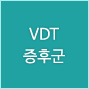 VDT증후군